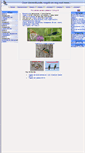 Mobile Screenshot of bobhogeveen.nl